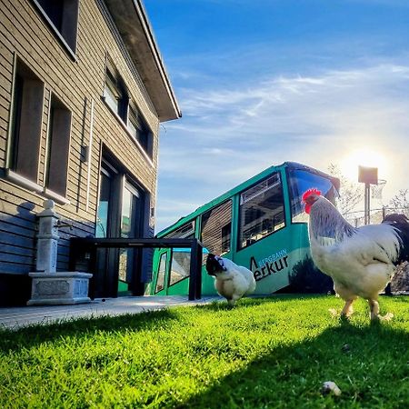 Villa Exklusives Holzhaus Mit Bergbahn - Baden-Baden Im Schwarzwald Esterno foto